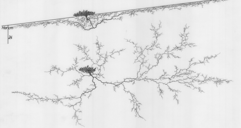 Screenshot 2025-08-13 at 2.22.40 p.m.